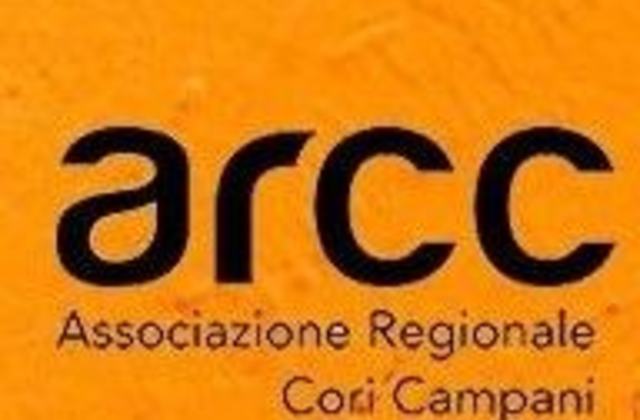 Logo   copia x